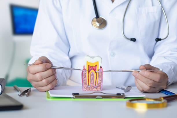 Best Same-Day Emergency Dental Services in North Baltimore, OH